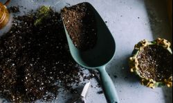 Co 4 lata warto zrobić analizę gleby i przygotować ją pod zasiewy