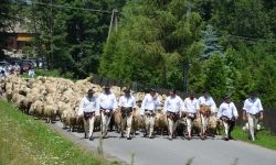 Startuje Redyk Karpacki