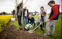 Konrad Fijołek posadził w niedzielę dęby w Parku Papieskim