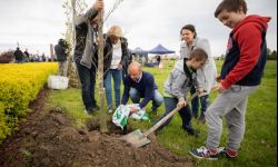 Konrad Fijołek posadził w niedzielę dęby w Parku Papieskim