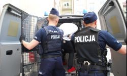 Zabójstwo 18-latki w Rzeszowie. Areszt dla współlokatora