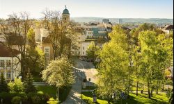 Rzeszów zamówił tysiące roślin. Także na nowe skwery