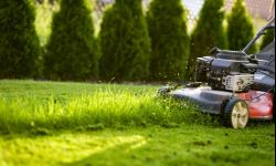 W Rzeszowie skoszoną trawę można oddawać ze śmieciami