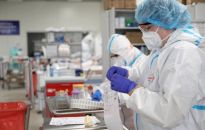 MZ: 71 nowych zakażeń koronawirusem, zmarło 5 osób z COVID-19