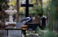 W 2020 prawie 68 tys. zgonów więcej niż w 2019 roku