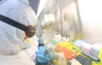 Głównym ryzykiem z jakim będziemy mieli do czynienia, jest wpływ mutacji alertowych koronawirusa