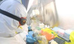 Głównym ryzykiem z jakim będziemy mieli do czynienia, jest wpływ mutacji alertowych koronawirusa