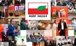 AGRO POLSKA - OKRĘGOWA SPÓŁDZIELNIA MLECZARSKA W LIMANOWEJ 