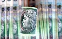 Nadwyżka budżetu po czerwcu wyniosła 28 mld zł