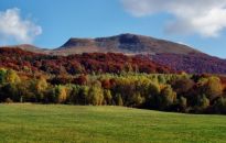 Nasze buki na liście Światowego Dziedzictwa UNESCO