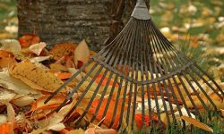 Jesień w ogrodzie - czym się zająć?