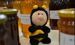 Święto Miodu w Rzeszowie - rarytasy z podkarpackich pasiek