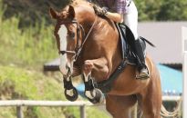 Jeździeckie imperium Uchwatów