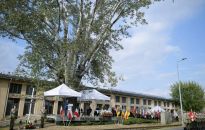 W Pruszkowie odbyły się uroczystości upamiętniające więźniów obozu Dulag 121