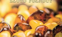 Bursztyn Złoto Północy w Muzeum Podkarpackim w Krośnie