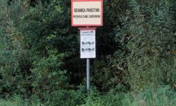 niezależna.pl: Gorąca dyskusja wokół skandalicznego nagrania z Michałowa