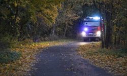 PSP: ponad 10,3 tys. interwencji strażaków w związku z silnym wiatrem; bez prądu ok. 121 tys. odbiorców