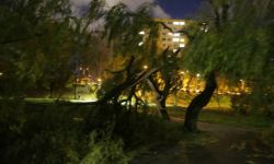 IMGW utrzymuje alert przed silnym wiatrem dla znacznej części kraju