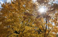 Synoptyk IMGW: niedziela słoneczna, ale chłodna