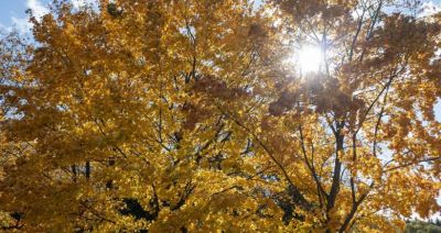 Synoptyk IMGW: niedziela słoneczna, ale chłodna