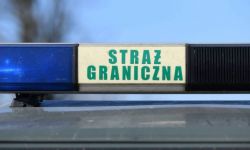 Straż Graniczna: kolejna grupa migrantów przygotowuje się do nielegalnego przekroczenia granicy