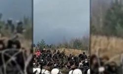 Grupy migrantów sprowadzone przez Białorusinów rozlokowały się przy polskiej granicy