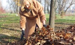 W parkach w Rzeszowie stanęło 60 domków dla jeży