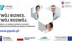 Dlaczego warto zostać Dostawcą Usługi?