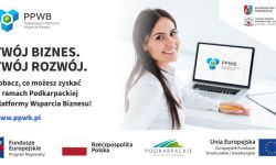 Niezależny Doradca - wsparcie w realizacji projektu