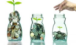 Poradnik inwestora. Sprawdzamy, w co warto inwestować