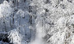 Synoptyk IMGW: W całym kraju mróz, opady śniegu w rejonach podgórskich