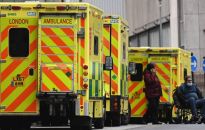 W. Brytania: zatwierdzono do użytku Paxlovid, doustny lek na Covid-19