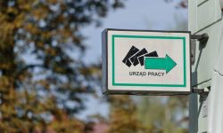 MRiPS: szacowana stopa bezrobocia w grudniu wyniosła 5,4 proc.