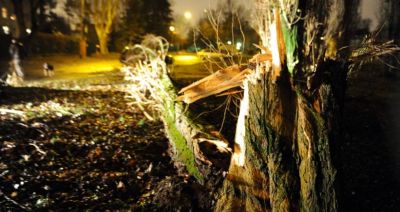 PSP: w piątek już ponad 600 interwencji związanych z silnym wiatrem