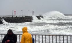 RCB ostrzega mieszkańców całego kraju przed silnym wiatrem