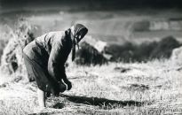 Fotografie grupy Dokumentalni i wieczór Sosnowskiego w WDK 