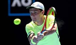 Australian Open - Majchrzak wyeliminowany w drugiej rundzie