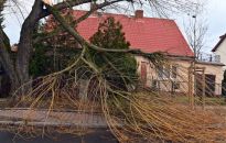 PSP: w związku z silnym wiatrem do godz.12. strażacy interweniowali blisko 9 tys. razy