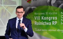 Morawiecki: obniżamy ceny nawozów, popieramy odstrzał dzików