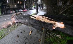 PSP: w niedzielę do godz. 18 strażacy interweniowali już blisko 15 tys. razy