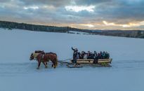 Poniżej 1 mln turystów rocznie. Znane Bieszczady i Rzeszów