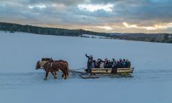 Poniżej 1 mln turystów rocznie. Znane Bieszczady i Rzeszów