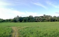 Plan na park w okolicach Kopca Konfederatów Barskich 