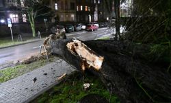 PSP: dwie ofiary śmiertelne w wyniku silnych wiatrów; w obu przypadkach drzewo przewróciło się na samochód