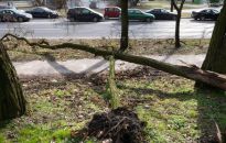 Premier: przez Polskę przechodzi orkan, służby działają, zostańmy w domach