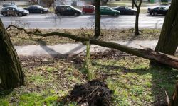 Premier: przez Polskę przechodzi orkan, służby działają, zostańmy w domach