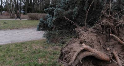 RCB ostrzega przed silnym wiatrem i burzami w nocy i jutro