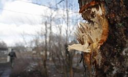 Separatyści w Donbasie zaatakowali oddziały i pozycje sił ukraińskich