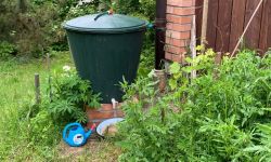 W Rzeszowie dotacje na retencję. Wnioski do 18 marca