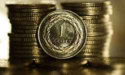 NBP: inflacja w tym roku na podwyższonym poziomie, w przedziale 9,3-12,2 proc.